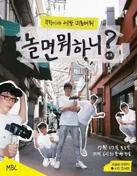 韩国综艺单身即地狱海报